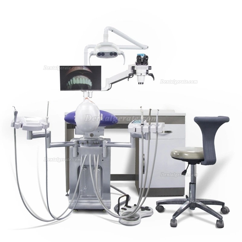 Abnehmbares Mund&uuml;bungssystem Zahnmedizin-Patientensimulator Klinische Lehre Simulationseinheit